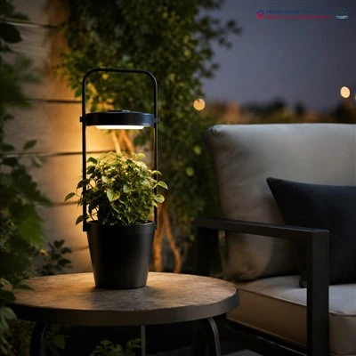 Blumentopf mit Solarlampe